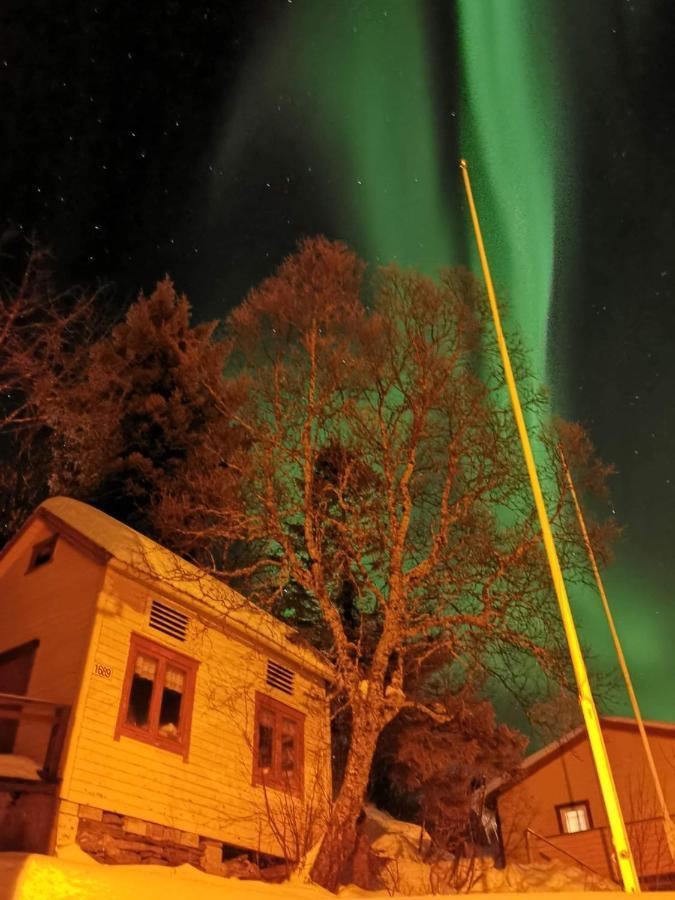 Вілла Senja Skaland Melkarhola Екстер'єр фото