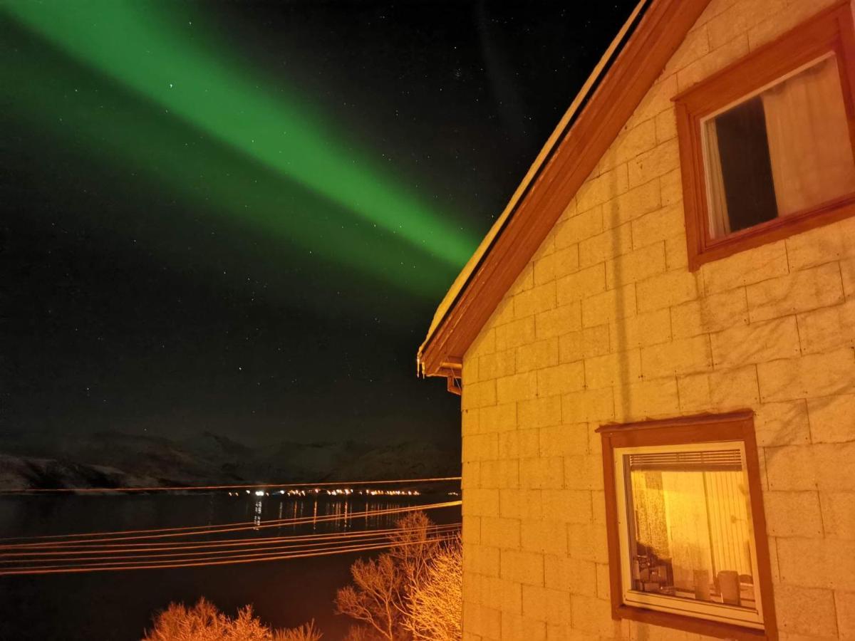 Вілла Senja Skaland Melkarhola Екстер'єр фото