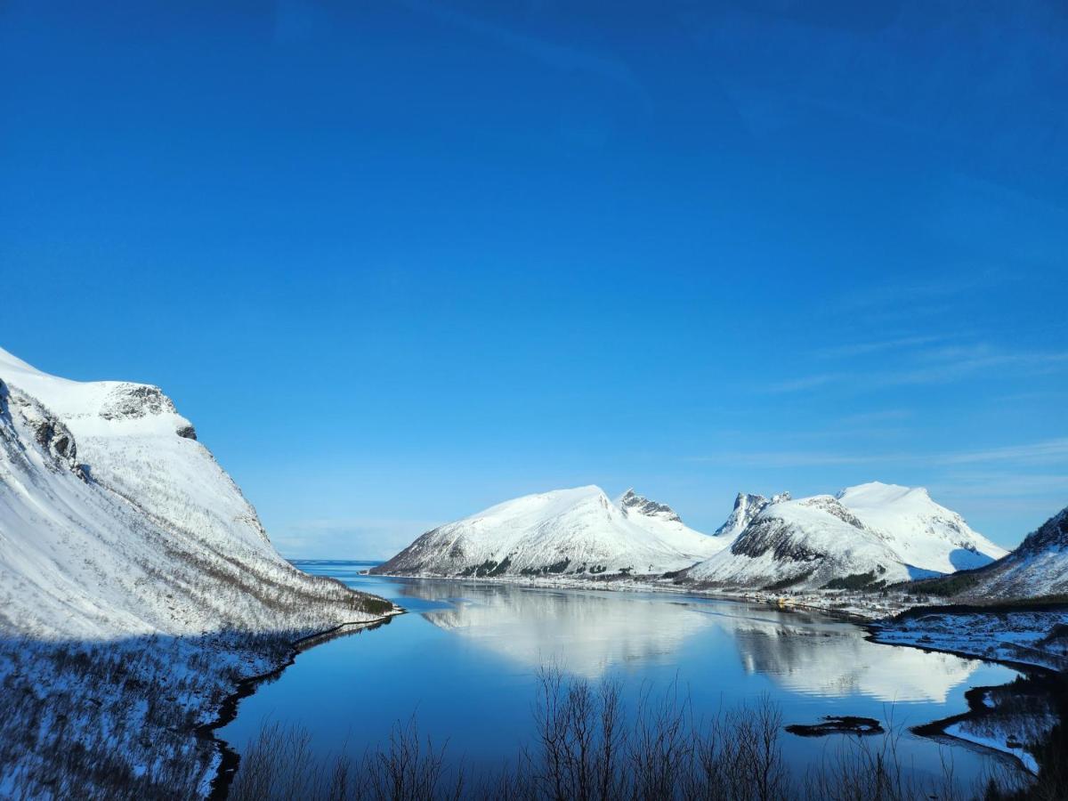Вілла Senja Skaland Melkarhola Екстер'єр фото