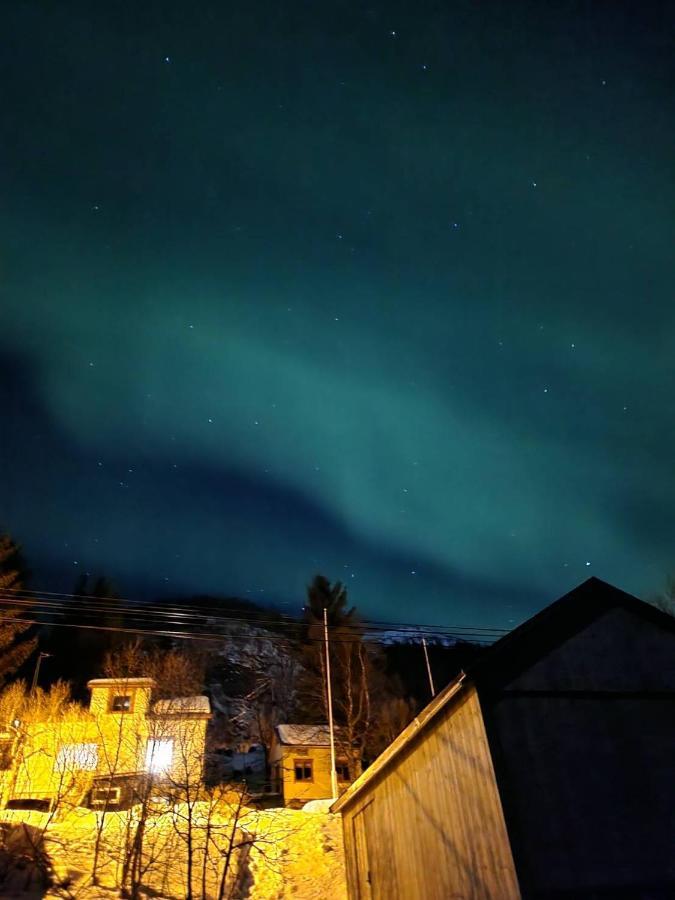 Вілла Senja Skaland Melkarhola Екстер'єр фото
